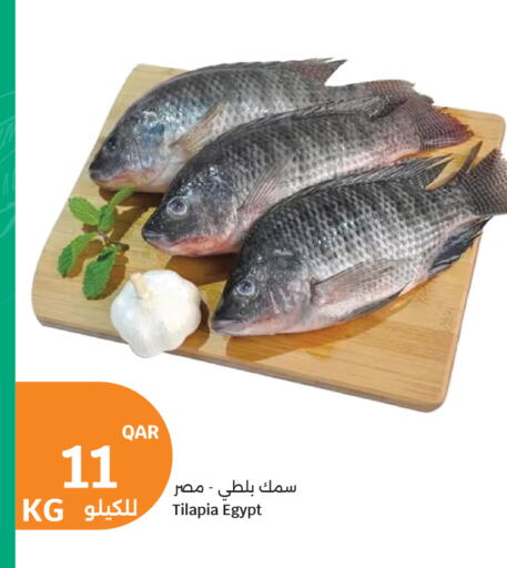available at سيتي هايبرماركت in قطر - الشحانية