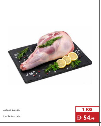 available at إسطنبول سوبرماركت in الإمارات العربية المتحدة , الامارات - دبي