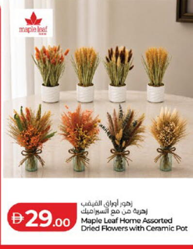 available at لولو هايبرماركت in الإمارات العربية المتحدة , الامارات - أبو ظبي