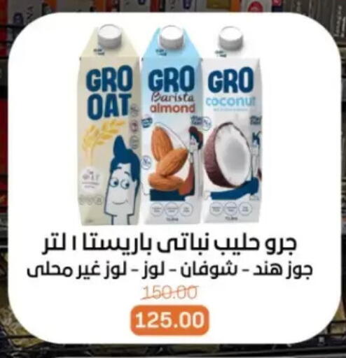 Coconut available at بيت الجملة in Egypt - القاهرة
