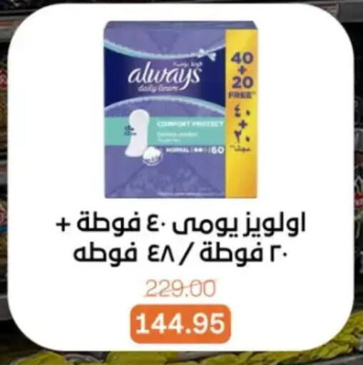 available at Beit El Gomla in Egypt - Cairo