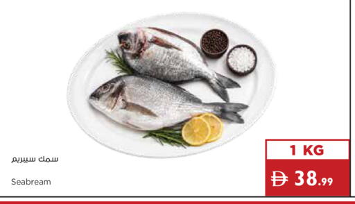available at إسطنبول سوبرماركت in الإمارات العربية المتحدة , الامارات - دبي