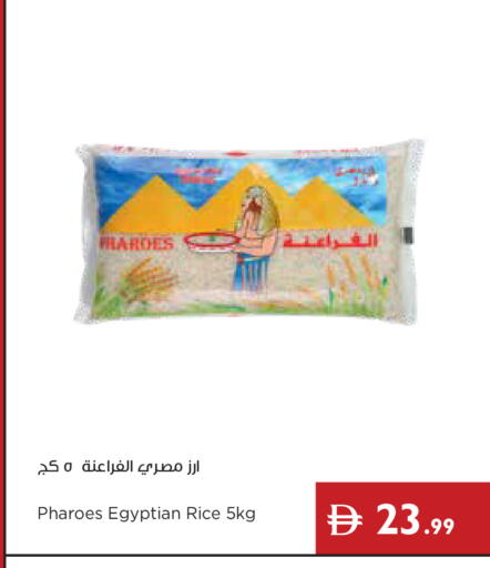 available at إسطنبول سوبرماركت in الإمارات العربية المتحدة , الامارات - دبي