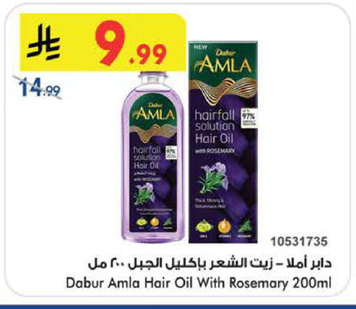 Rosemary available at بن داود in مملكة العربية السعودية, السعودية, سعودية - الطائف