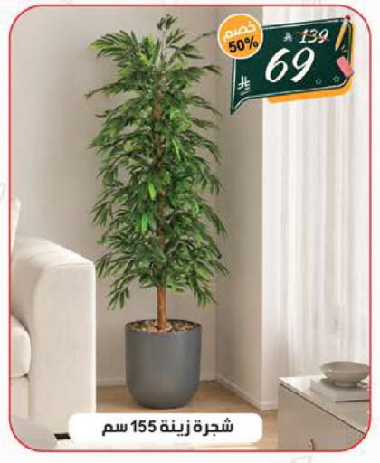 available at الهدايا سنتر in مملكة العربية السعودية, السعودية, سعودية - الطائف