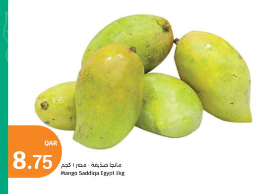 Mango from Egypt available at سيتي هايبرماركت in قطر - الشحانية