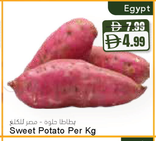 Sweet Potato from Egypt available at المايا سوبرماركت in الإمارات العربية المتحدة , الامارات - أبو ظبي
