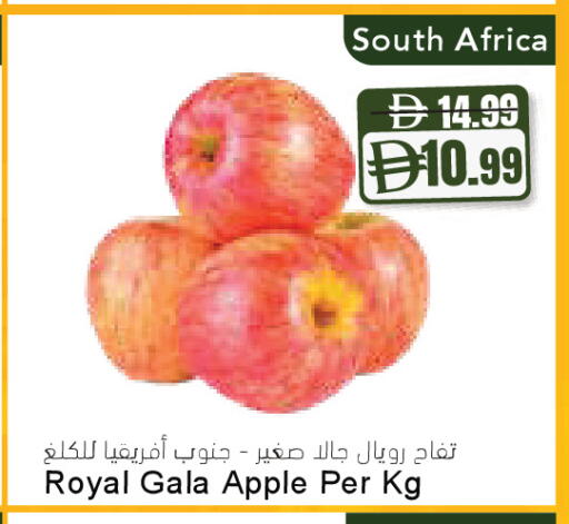 Apple from South Africa available at Almaya Supermarkets in UAE - Ras al Khaimah