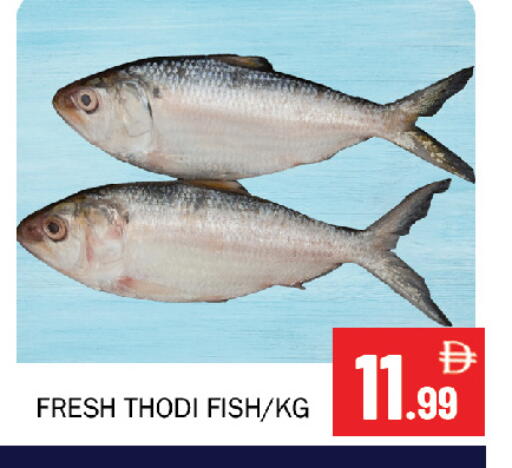 available at Souk Al Mubarak Hypermarket in UAE - Sharjah / Ajman