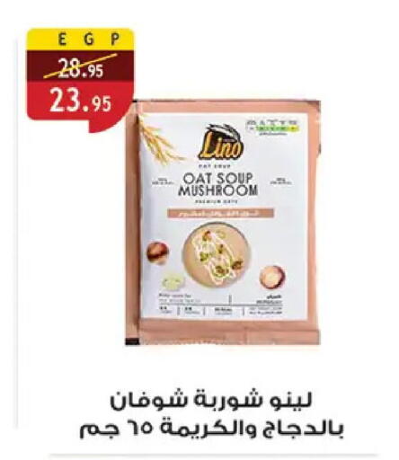 Mushroom available at Al Rayah Market   in Egypt - Cairo