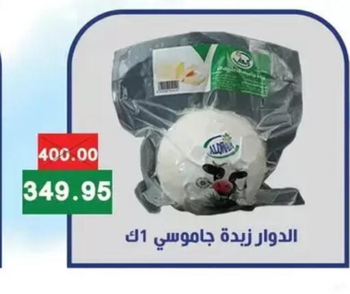 available at Bashayer hypermarket in Egypt - Cairo