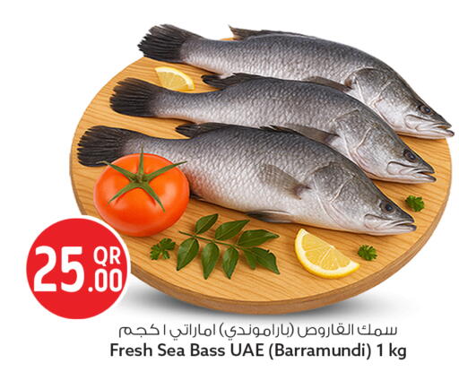 available at Safari Hypermarket in Qatar - Doha