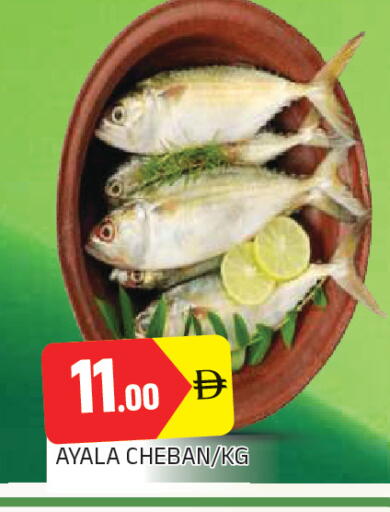 available at AL MADINA in UAE - Sharjah / Ajman