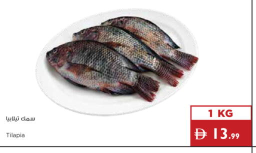 available at إسطنبول سوبرماركت in الإمارات العربية المتحدة , الامارات - دبي