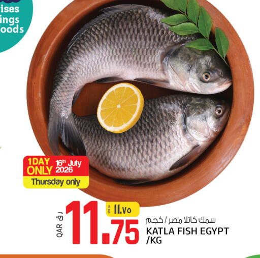 available at كنز ميني مارت in قطر - الشمال
