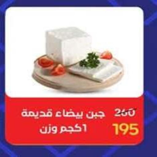 available at وكالة المنصورة - الدقهلية‎ in Egypt - القاهرة
