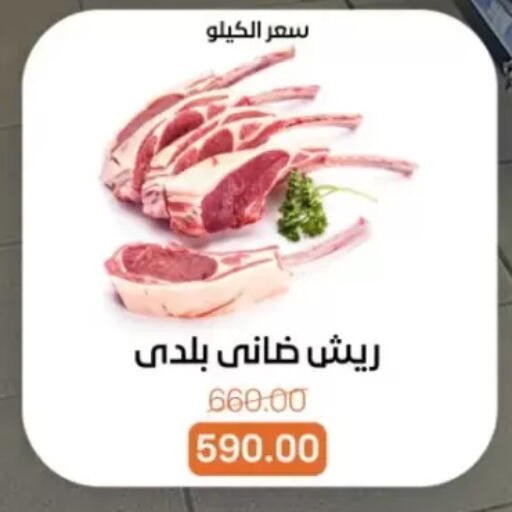 available at Beit El Gomla in Egypt - Cairo