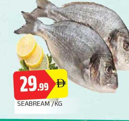 available at AL MADINA in UAE - Sharjah / Ajman