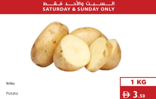 Potato available at إسطنبول سوبرماركت in الإمارات العربية المتحدة , الامارات - ٱلْعَيْن‎