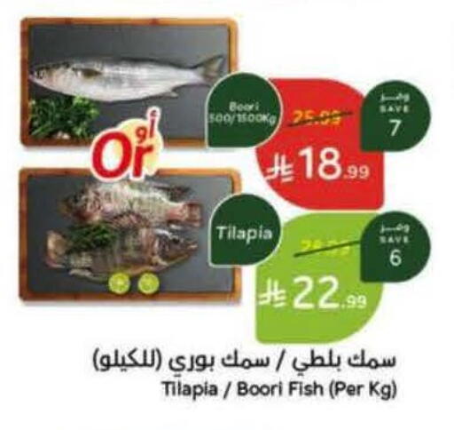 available at هايبر بنده in مملكة العربية السعودية, السعودية, سعودية - تبوك