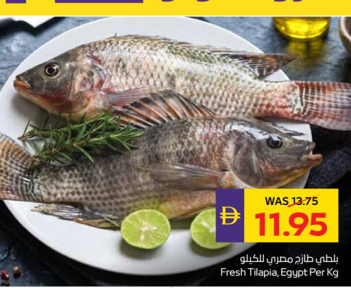 available at أدكووب in الإمارات العربية المتحدة , الامارات - رَأْس ٱلْخَيْمَة