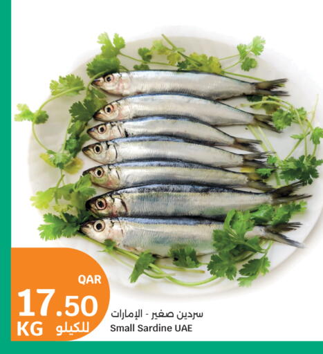 available at سيتي هايبرماركت in قطر - الشحانية