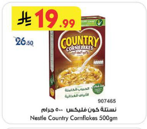 available at بن داود in مملكة العربية السعودية, السعودية, سعودية - الطائف