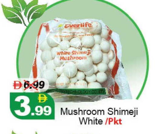 Mushroom available at ديزرت فريش ماركت in الإمارات العربية المتحدة , الامارات - أبو ظبي