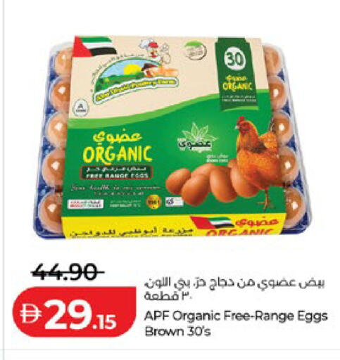 available at لولو هايبرماركت in الإمارات العربية المتحدة , الامارات - أبو ظبي