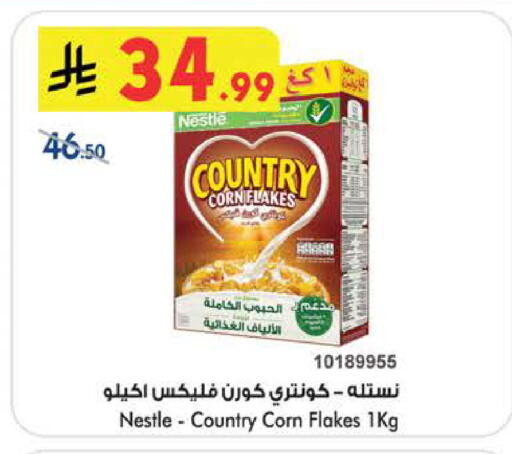 available at بن داود in مملكة العربية السعودية, السعودية, سعودية - الطائف