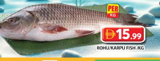 available at Grand Hyper Market in UAE - Dubai