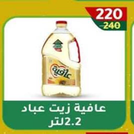 available at وكالة المنصورة - الدقهلية‎ in Egypt - القاهرة
