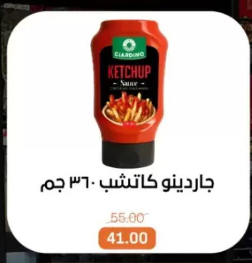 available at بيت الجملة in Egypt - القاهرة