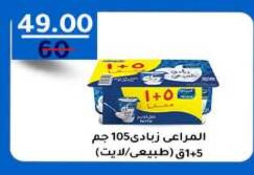 available at وكالة المنصورة - الدقهلية‎ in Egypt - القاهرة
