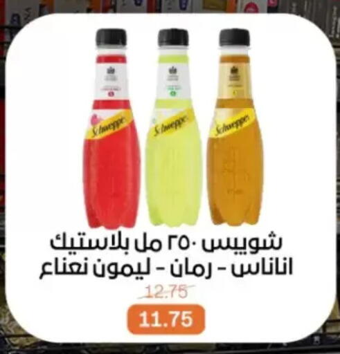 available at Beit El Gomla in Egypt - Cairo