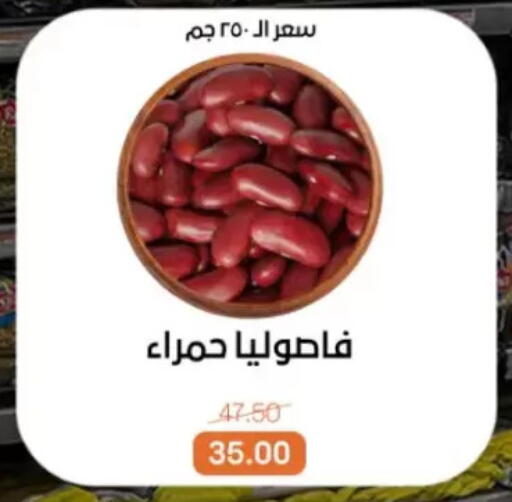 available at بيت الجملة in Egypt - القاهرة