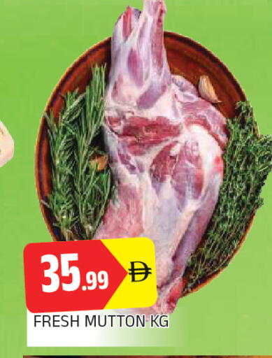 available at AL MADINA in UAE - Sharjah / Ajman