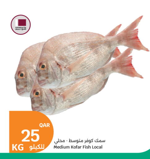 available at سيتي هايبرماركت in قطر - الشحانية