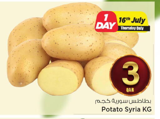 Potato from Syria available at مارك & سيف in قطر - الضعاين