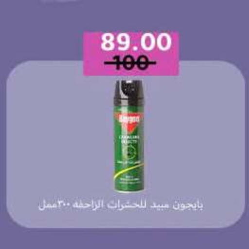 available at وكالة المنصورة - الدقهلية‎ in Egypt - القاهرة