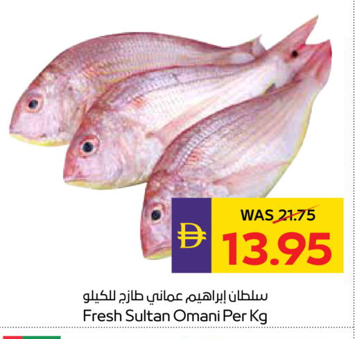 available at أدكووب in الإمارات العربية المتحدة , الامارات - رَأْس ٱلْخَيْمَة