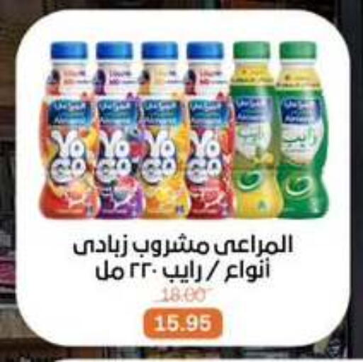 available at Beit El Gomla in Egypt - Cairo