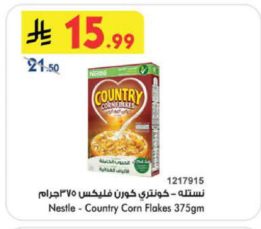 available at بن داود in مملكة العربية السعودية, السعودية, سعودية - الطائف