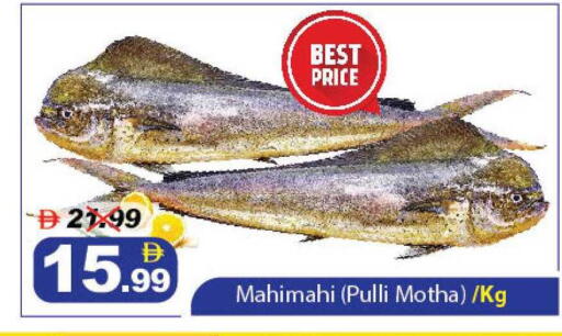 available at ديزرت فريش ماركت in الإمارات العربية المتحدة , الامارات - أبو ظبي