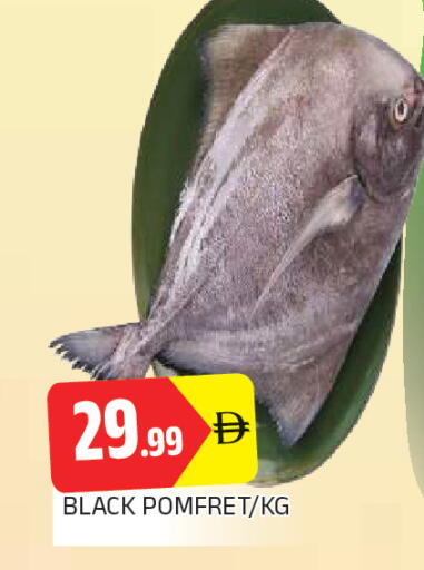 available at AL MADINA in UAE - Sharjah / Ajman