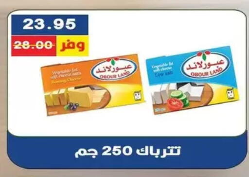 available at Bashayer hypermarket in Egypt - Cairo