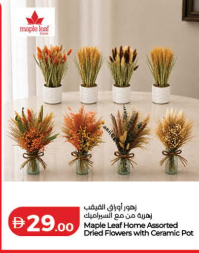 available at لولو هايبرماركت in الإمارات العربية المتحدة , الامارات - الشارقة / عجمان