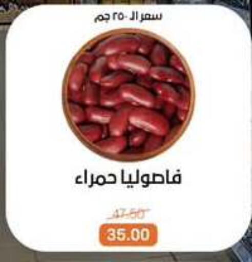 available at بيت الجملة in Egypt - القاهرة