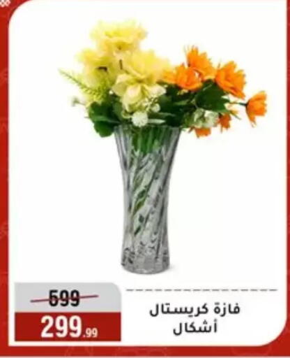 available at Al Morshedy  in Egypt - Cairo