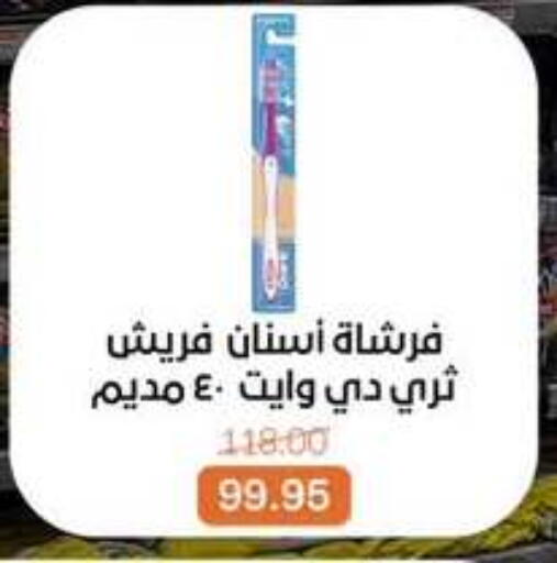 available at Beit El Gomla in Egypt - Cairo
